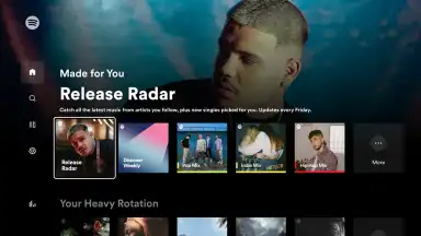Spotify for Android TV скриншот 5