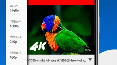 Fast Youtube Downloader скриншот 8