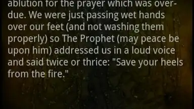 Sahih Al Bukhari скриншот 5