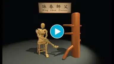 Wing Chun Trainer скриншот 1