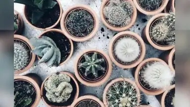 Camera HD 4K Professional скриншот 3