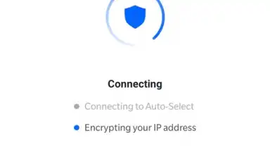 DeerShield - Free VPN скриншот 5