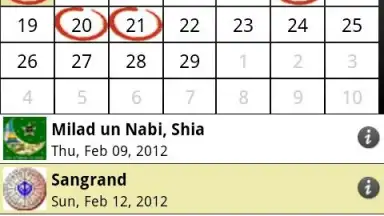 Desi Calendar скриншот 6