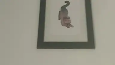 TikTok Now скриншот 9