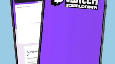 Twitch Downloader скриншот 1