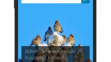 UCI Browser Mini скриншот 1