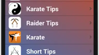 Karate Training скриншот 3