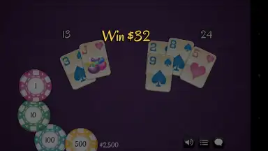 BlackJack 21 Pro скриншот 1