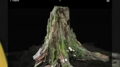 RealityScan - 3D Scanning App скриншот 13
