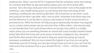 Pulse News скриншот 3