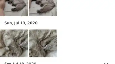 Google Photos скриншот 8