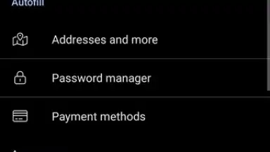 Kiwi Browser скриншот 12