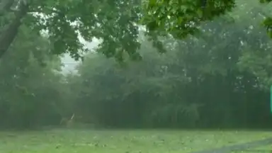 Relax Rain скриншот 1