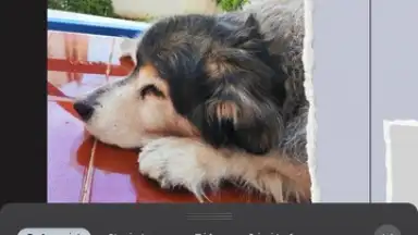 ProCCD скриншот 8