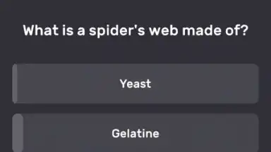 QuizzLand скриншот 2