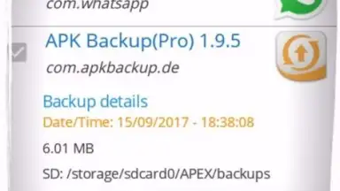 APK Backup(Pro) скриншот 2