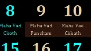 Gujarati Calendar 2014 скриншот 1