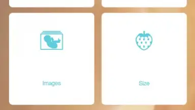 Pregnancy + скриншот 15