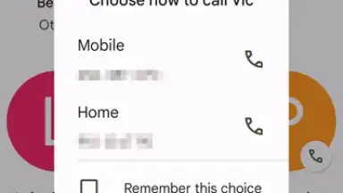 Phone by Google скриншот 1