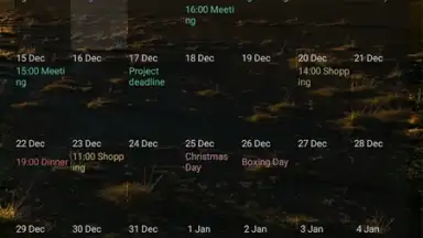 Touch Calendar Free скриншот 1