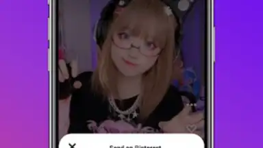 Downloader for Pinterest скриншот 4