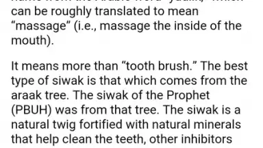 Prophetic Medicine & Herbalist скриншот 4