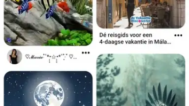 Pinterest скриншот 1