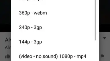 SnobTUBE - Video Audio Downloader скриншот 4