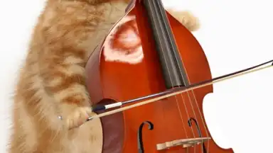 Talking, Dancing Cat. скриншот 5
