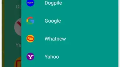 Google Search Alternatives скриншот 3