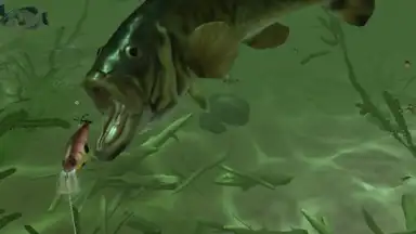 Rapala Fishing скриншот 6