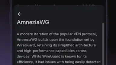 Amnezia VPN скриншот 4