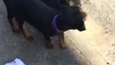 Kuaishou скриншот 8