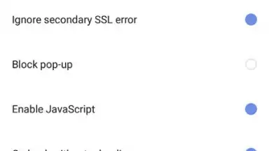 Via Browser скриншот 2