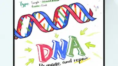 StarNote скриншот 4