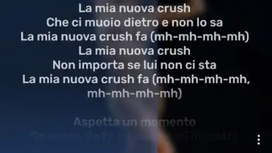 RiMusic скриншот 4