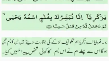 Surah Maryam with Mp3 скриншот 6