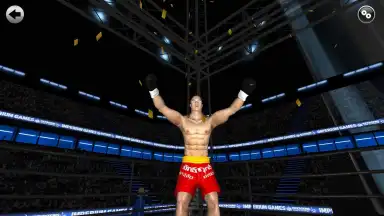 Kickboxing - Road To Champion Pro скриншот 2