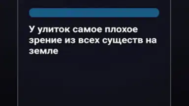 Правда или Ложь скриншот 5