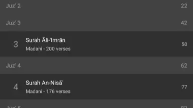 Quran Android скриншот 1
