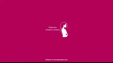 Semanas Embarazo скриншот 14