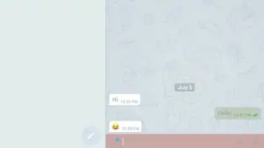 THE MESSENGER скриншот 4