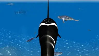 Orca Simulator скриншот 4