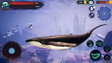 The Humpback Whales скриншот 7