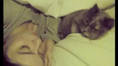 Facebook Photo Downloader скриншот 3