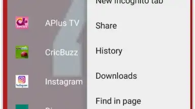 4K Browser скриншот 5