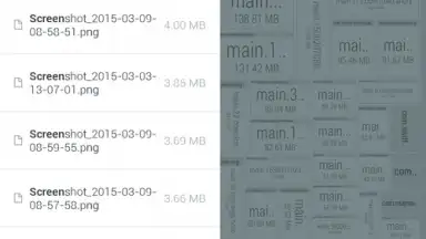 Memory Map скриншот 1
