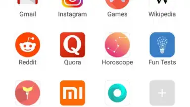 Mint Browser скриншот 4