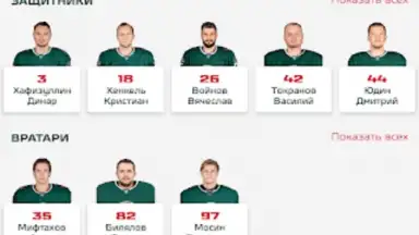 ХК Ак Барс скриншот 12