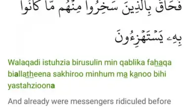 umma скриншот 6